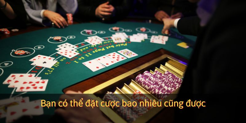 Bạn có thể đặt cược bao nhiêu cũng được