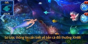 Sơ lược thông tin cần biết về bắn cá đổi thưởng Xin88