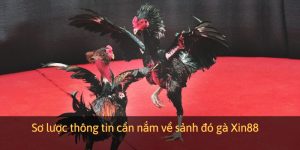 Sơ lược thông tin cần nắm về sảnh đó gà Xin88