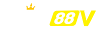 XIN88