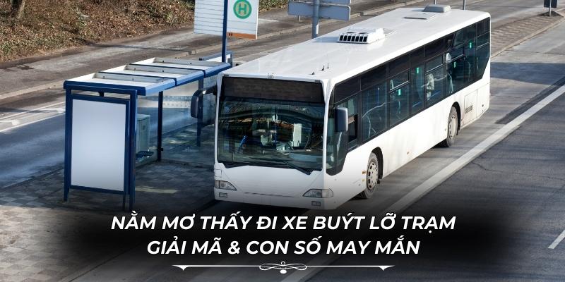 Nằm Mơ Thấy Đi Xe Buýt Lỡ Trạm