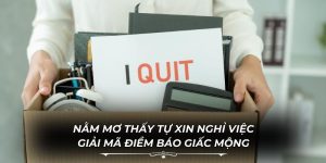 Nằm Mơ Thấy Tự Xin Nghỉ Việc